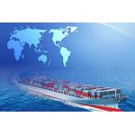DDU FCL Sea Shipping Agent for sale