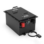 Customized Lithium Ion LiFePO4 Battery Pack 100AH Golf Cart AGV Cleaner Truck for sale