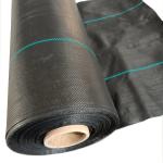 100% Polypropylene High Strength Construction PP Woven Fabric Geotextile For Soil Stabilizer for sale