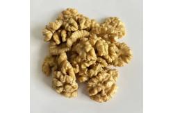China Walnut wholesale kernel walnut Factory price Food supplements walnuts peptide supplier