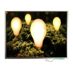 LTM12C505K 12.1 inch 1024*768 TFT-LCD Screen Display for sale