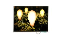 China LTM12C505K 12.1 inch 1024*768 TFT-LCD Screen Display supplier