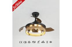 China 36 Inch Black Caged Ceiling Fan with Light and Remote Midcentury Lighting Solution supplier