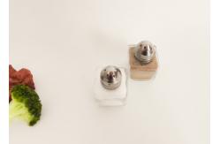 China Convenient And Fashionable Easy To Take Seasoning Shakers For Modern Kitchens supplier