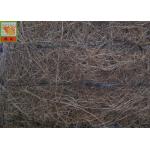 Polypropylene Plastic Screen Mesh For Erosion Control Blanket Black Color for sale