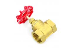 China Durable Brass Globe Control Valve  Manual Gate Valve supplier