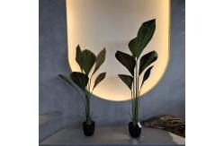China Artificial Plants The Perfect Solution for Your Home and Office Greenery Needs supplier