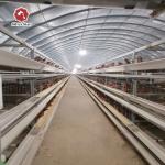 10000 Birds Poultry Farm Automatic H Type Battery Chicken Egg Laying Hen Layer Cage for sale