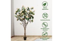 China 210cm Artificial Magnolia Tree For House Office Long Lasting Evergreen Plants supplier