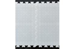 China Interlocking Hockey Skating Tiles Smooth Indoor Ice Skating Tiles supplier