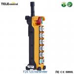 UTING Industrial Remote Control F24-12S Handy Transmitter With EMS Start Button for sale