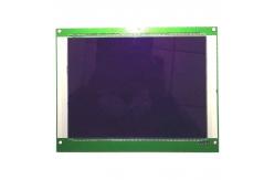China Screen Panel Graphic Monochrome Display Tn Positive LCD Display of Fuel Dispenser supplier