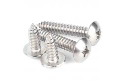 China SS304 316 Truss Pan Mushroom Umbrella Head Cross Wood Self Tapping Screw supplier