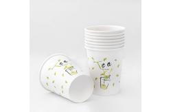 China No Leakage Compostable Hot Cups Custom Disposable Coffee 8oz 300ml Eco Hot Cups supplier
