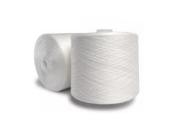 China 2025 Hot Sell 40/2 Spun Polyester Yarn for Polyester Sewing Thread supplier