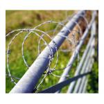Anping High Quality Razor Barbed Wire Double Concertina Razor Wire Factory for sale