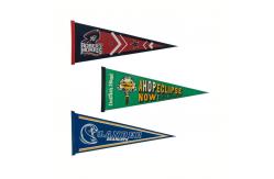 China 20x45cm Felt Triangle Banner supplier