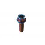 Flange Flower Head Titanium Cycle Disc Roter Bolt Button Head Torx Drive