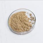 Type 5 Phosphodiesterase 20000U/G~50000U/G Phosphodiesterase 5 Enzyme for sale