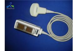 China Abdominal Convex Array Ultrasound Scanner Probe 60mm supplier