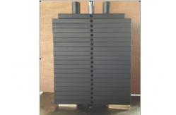 China Cast Iron Gym Weight Plates with Raised Numbers 1 Inch Hole supplier