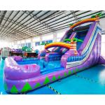 Carnival Adult Bounce House Outdoor Inflatable Water Slides for sale