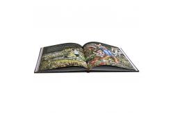 China Professional Customized Printed Brochure Printing Services Perfect Bound And Hardcover supplier