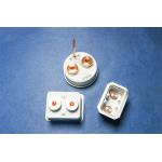 High Voltage Relay Metallized Alumina Ceramics 3.9g/Cm3 Soldering With Metal Parts for sale