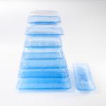 BH00-11 food container Takeaway Packaging Box Plastic For Good Food Plastic BLUE Disposable Sushi box for sale