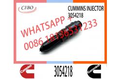 China Diesel Engine Spare Parts NT855 NTA855 Fuel Injector 3018566 3054218 supplier