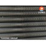 High Frequency Welding ASTM A312 TP316L Stainless Steel Fin Pipe For Furnace