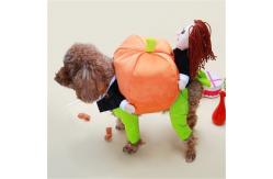 China 100g Dog Halloween Clothes Carrying Pumpkin Funny Puppy Cosplay supplier