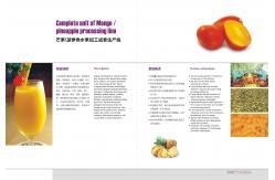 China Mango Juice Making Machine Mango Processing Line Fully Automatic PLC Control supplier