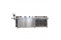 China Papa Mini Chocolate Enrober Machine / Small Chocolate Enrobing Line supplier