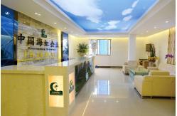 China Areca Palm manufacturer