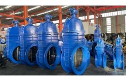 China General Standard Cast Iron Gate Valve for Customized Service Needs supplier