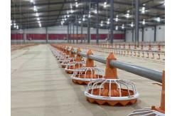 China Automatic Poultry Feed Pans Galvanized Chicken Feeders And Drinkers supplier