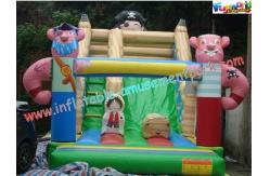 China Child Large Customized Commercial Inflatable Slide , PVC Slides With CE Blower supplier