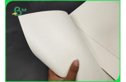 China 170g 190g 210g Watertight PE Coating Cup Paper 550mm Roll FDA Approved supplier