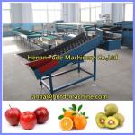 kiwi fruit grading machine, orange sorting machine, apple weigher, apple sorter for sale