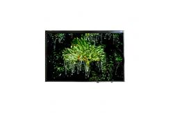 China VVX10T022N00 10.1 inch eDP LCD Screen Display Panel supplier
