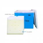 Vacuum Insulated Panel Insulationn Cooler Box With Long Cold Time And Multiple Capacities (4L-200L) Featuring PCM Ice Packs For Medical 2-8C Cold Chain Storage for sale