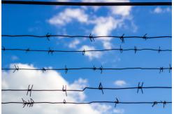 China BWG16 Hot Dipped Galvanized Barbed Wire Price Per Roll Barbed Wire Fence supplier