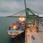 Customs Clearance Sea Freight Shipping Forwarder 20gp/40gp/40hq/40rh/45hq Container Type for sale