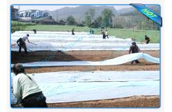China White Biodegradable Non Woven Landscape Fabric OEKO TEX Certificate supplier