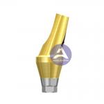 Osstem GS(TS)® Dental Implant Titanium Angled Abutment  Mini / Regular -- 17°/30° Degree for sale