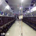 24-100 point Herringbone Milking Parlour Automatic Cow Machine System for sale
