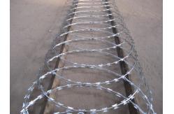 China Cbt-65 Stainless Steel Galvanized Steel PVC Coated Security Razor Wire Mesh supplier