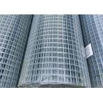 Various Applications Galvanized Iron Welded Mesh Rolls Corrosion Resistance for sale