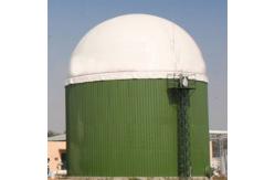 China 1 MW Biogas Power Plant Cost Bio Gas Plant  For Home supplier